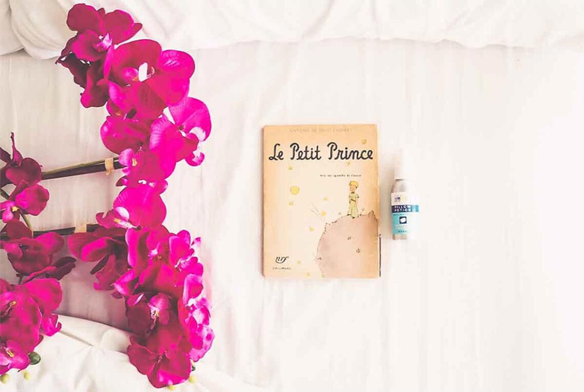 شازده کوچولو