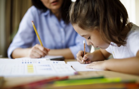 کسب درآمد بالا