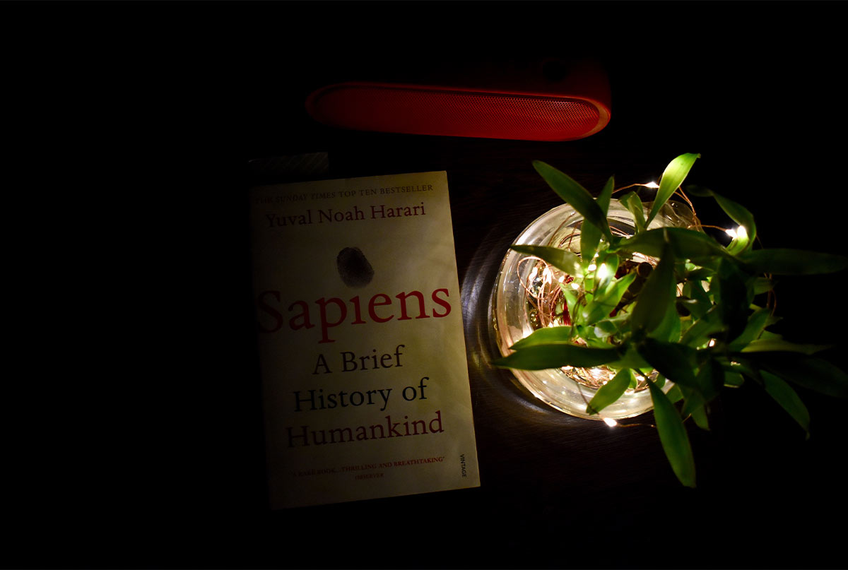 نسخه خارجی کتاب انسان خردمند همراه با گلدانی که توش چراغ گذاشتن روی میز