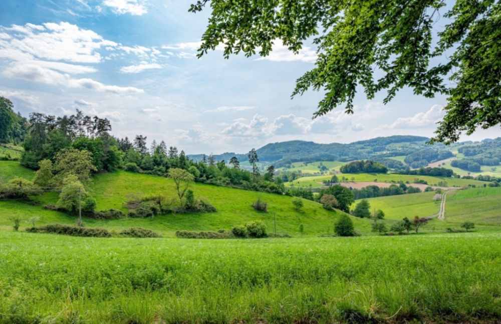 جبران خليل جبران
