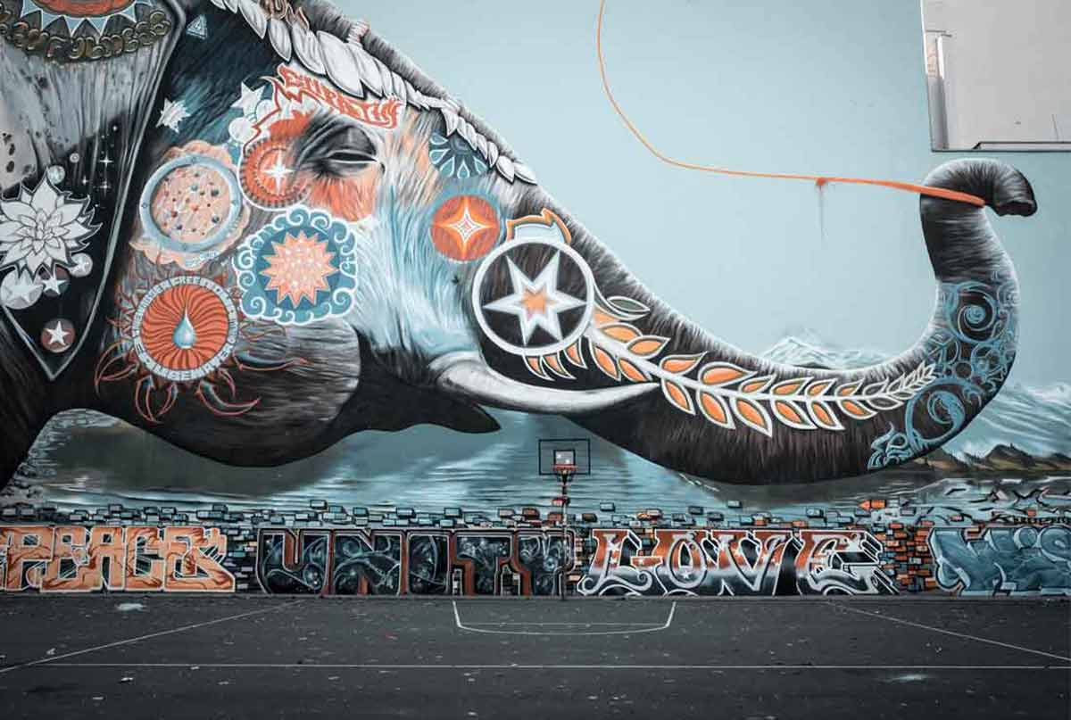 نقاشی فیل رو دیوار