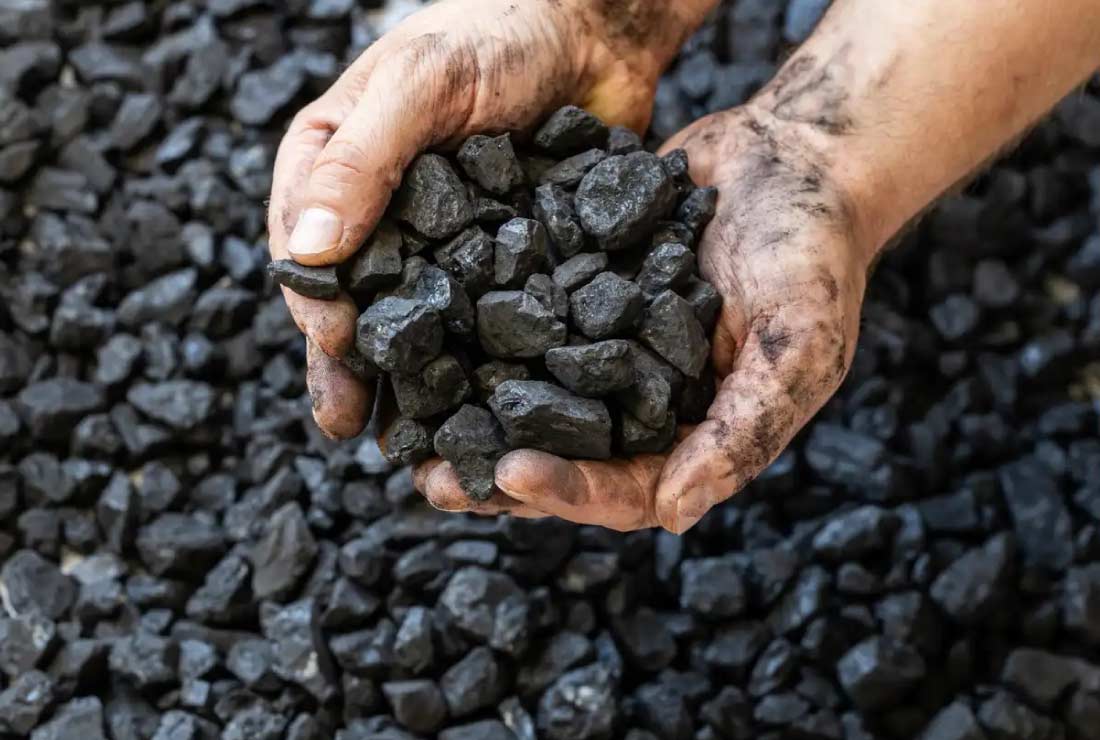 کسب و کار تولید زغال