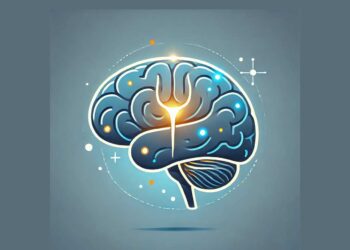 رازهای هیپوکامپ؛ چگونه مغز ما خاطرات را ذخیره می‌کند؟