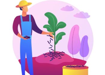 پرورش کرم ابریشم