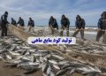 تولید کود مایع ماهی