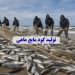 تولید کود مایع ماهی